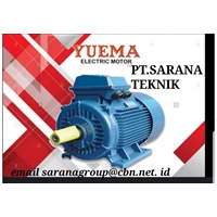 Electrical Motor Yuema Series B14