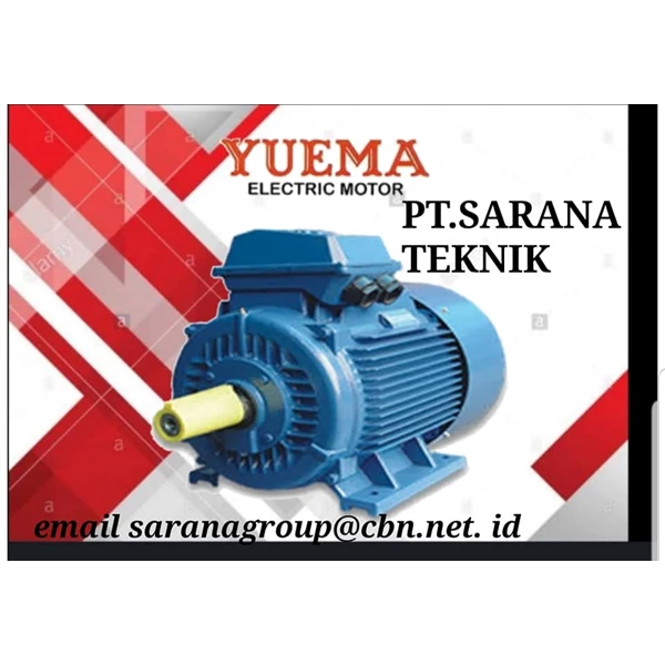 Electrical Motor Yuema Series B14