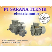 MEZ Electric Motor Foot Mounted 3 Phase Squirell PT Sarana Teknik