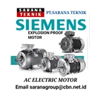 Motor Listrik (Dinamo) Siemens 250 kW/ 335 HP 2